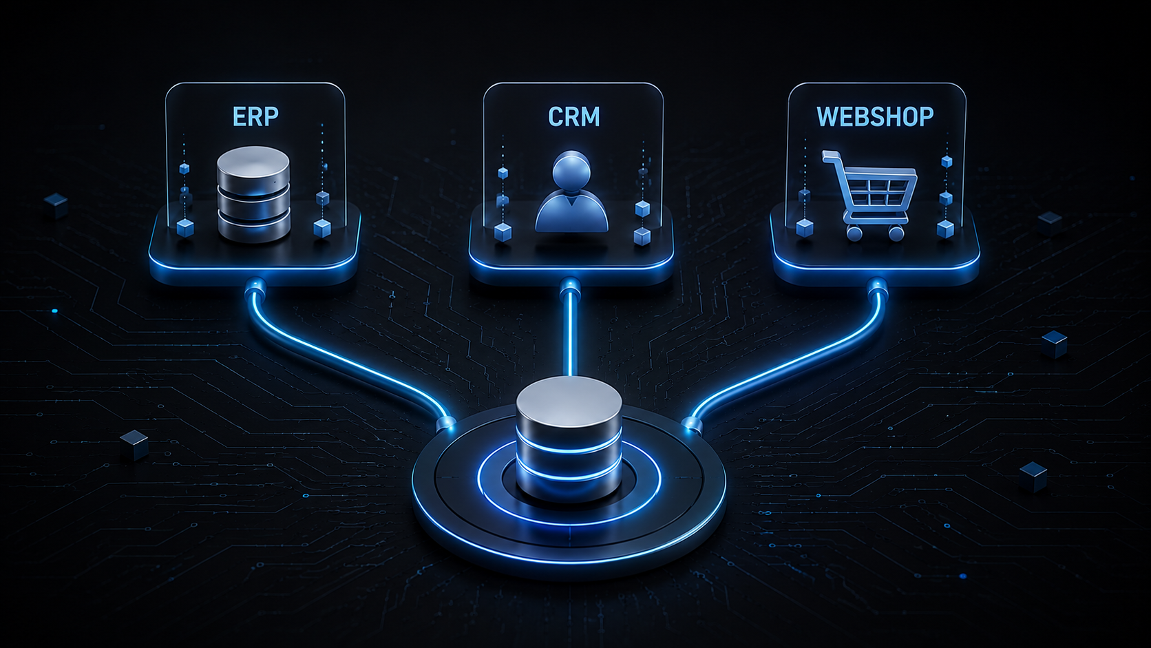 Which Customer Record Is the Real One - Background